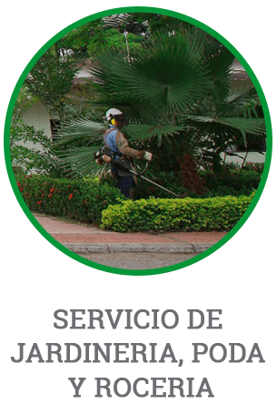 Servicio de jardinería, poda y rocería